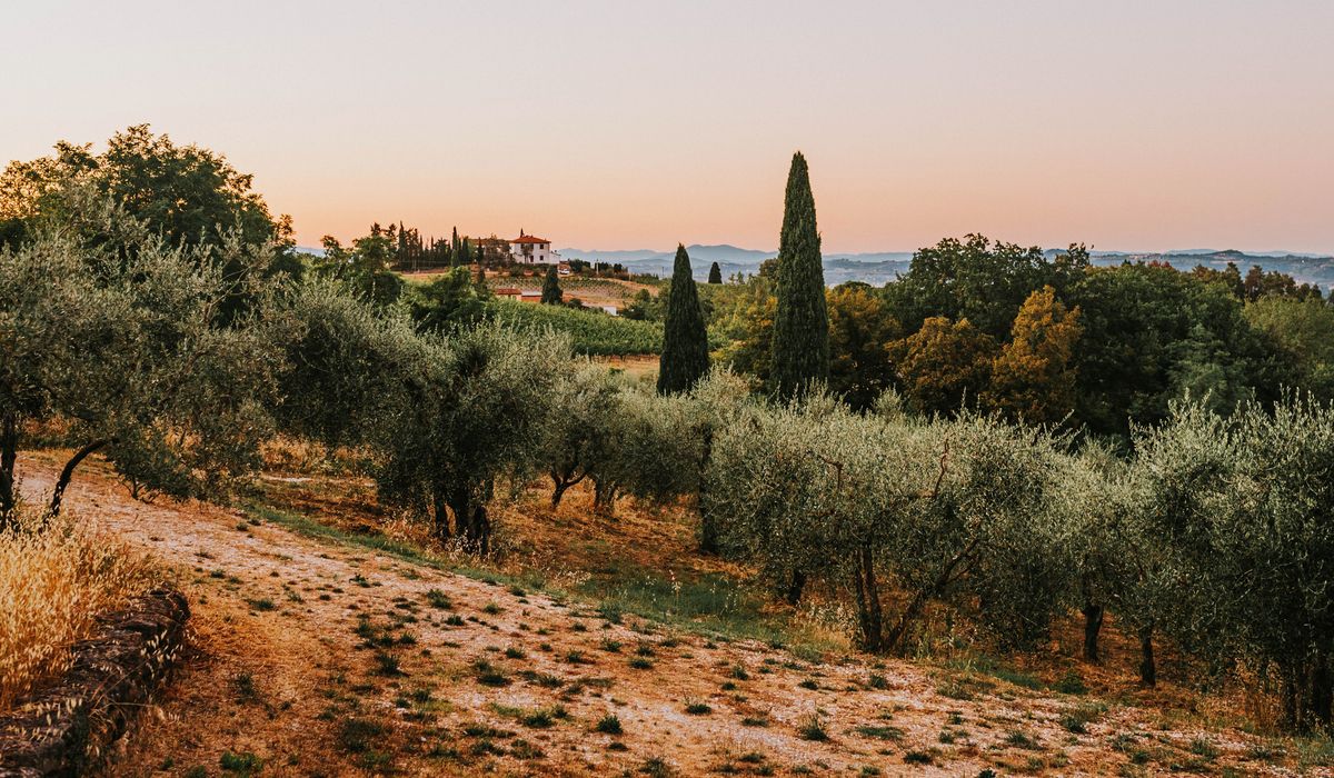 Meal Planning Around the Mediterranean Diet