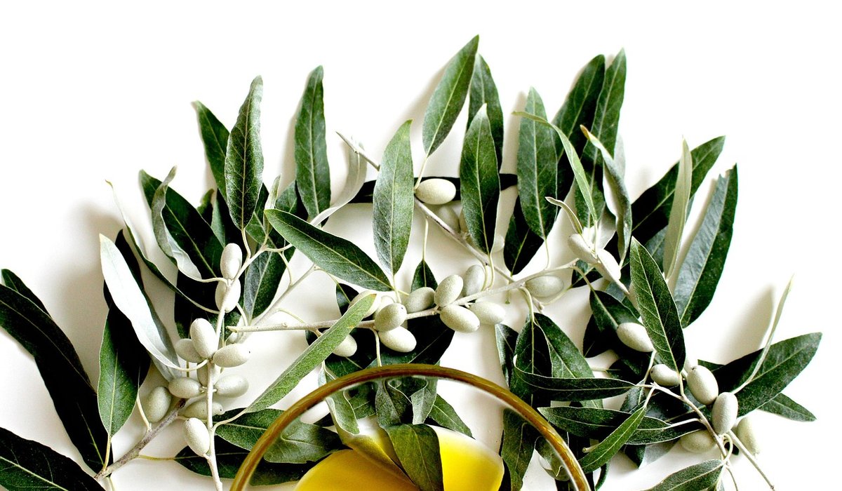 Reducing Food Waste in a Mediterranean Kitchen