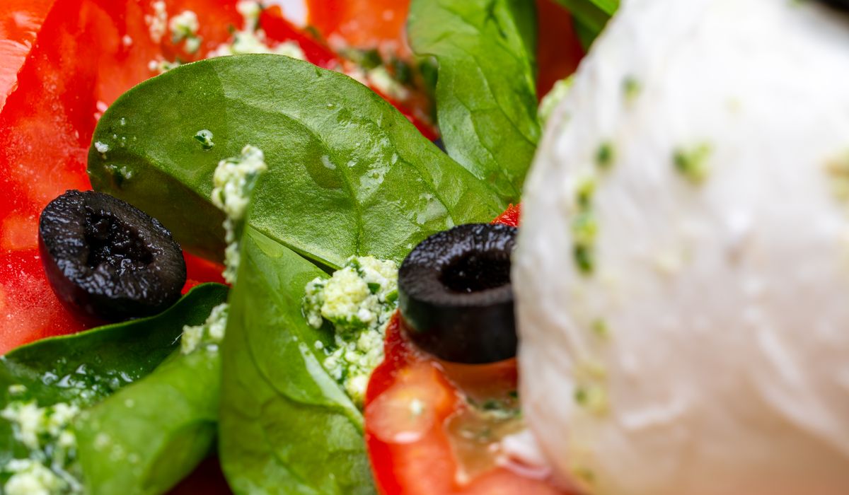Visiting an Olive Grove in the Mediterranean